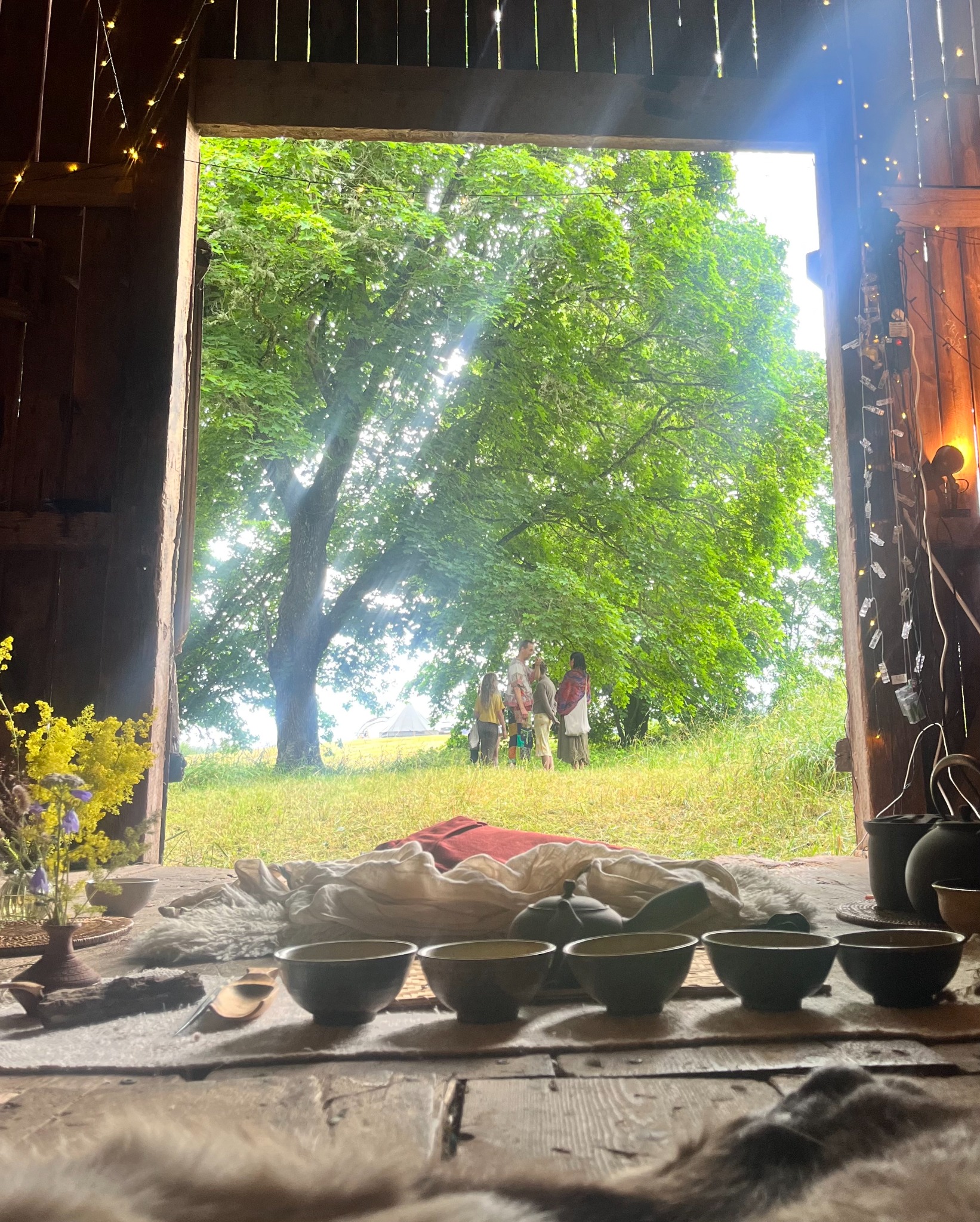Tea bowls prepared in a barn looking out toward a gathering beneath trees
