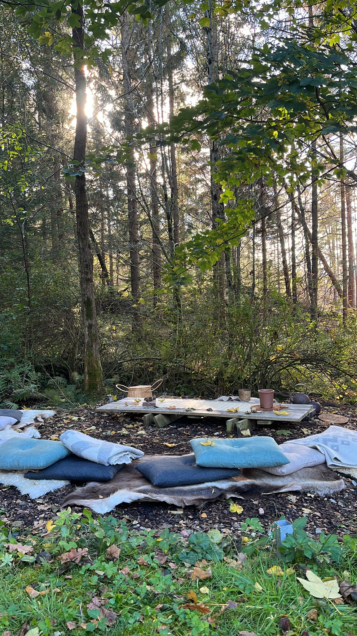 Tea ceremony setting in a woodland