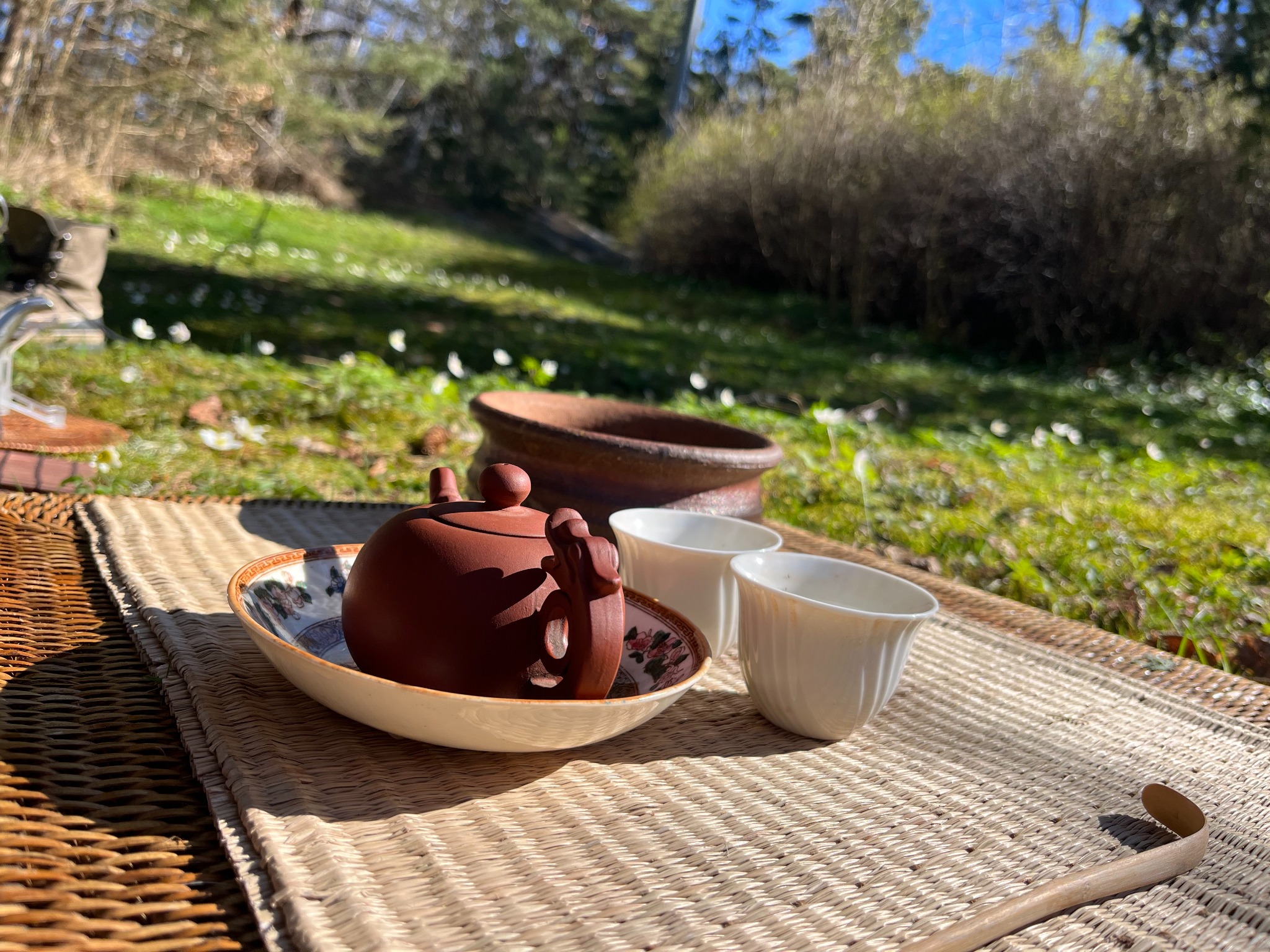 Teapot and cups set outdoors in sunlight